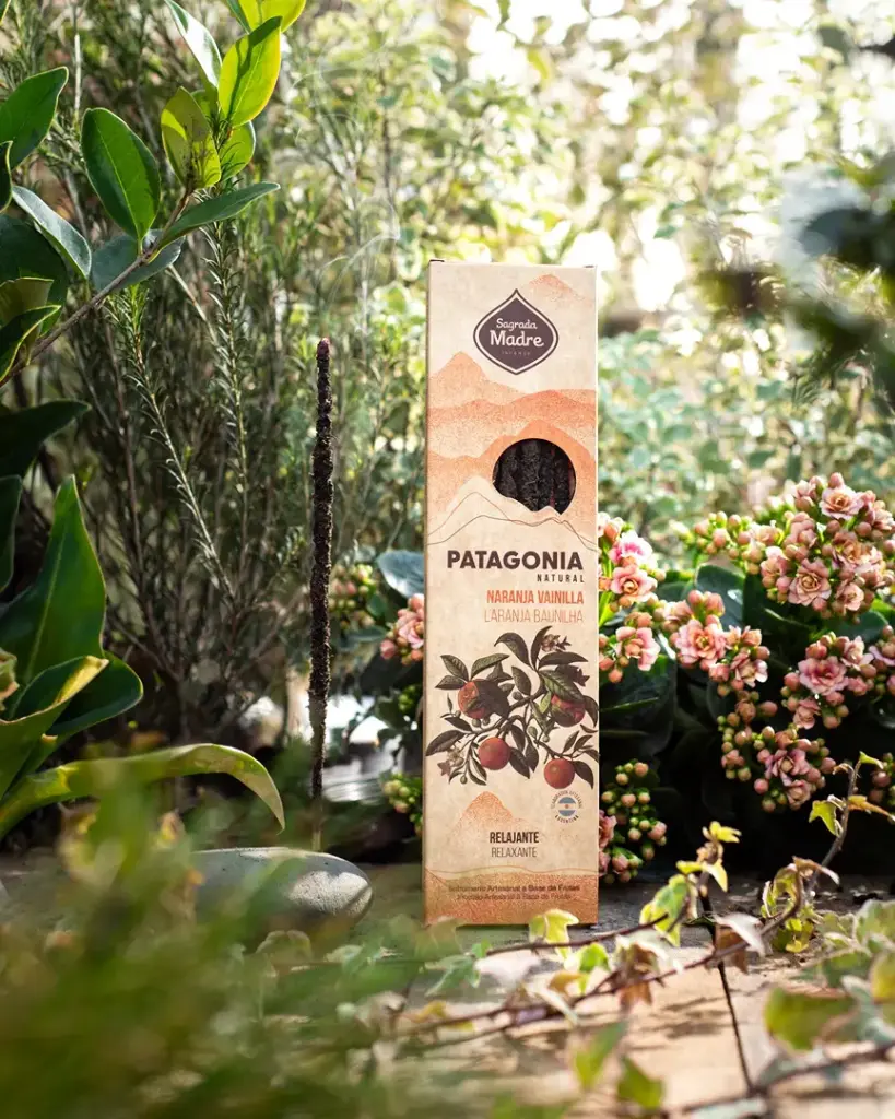 SM PATAGONIA NARANJ-VAIN.webp