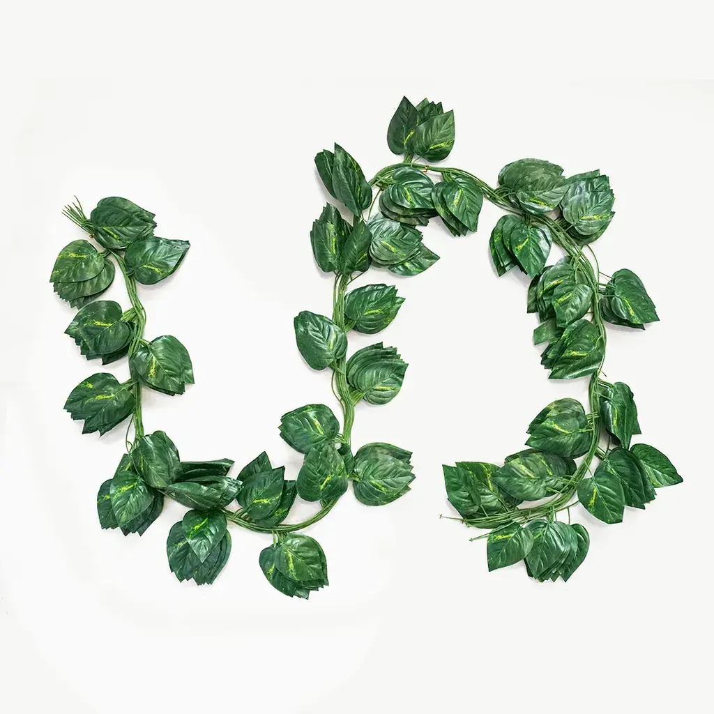 enredadera 1_WEBP.webp