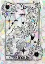 Sticker Suncatcher (Atrapasol) - 040. Signo Capricornio