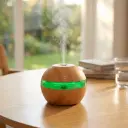 Humidificador USB Redondo CON VISOR