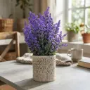 Maceta Flores de Lavanda (24x8cm)