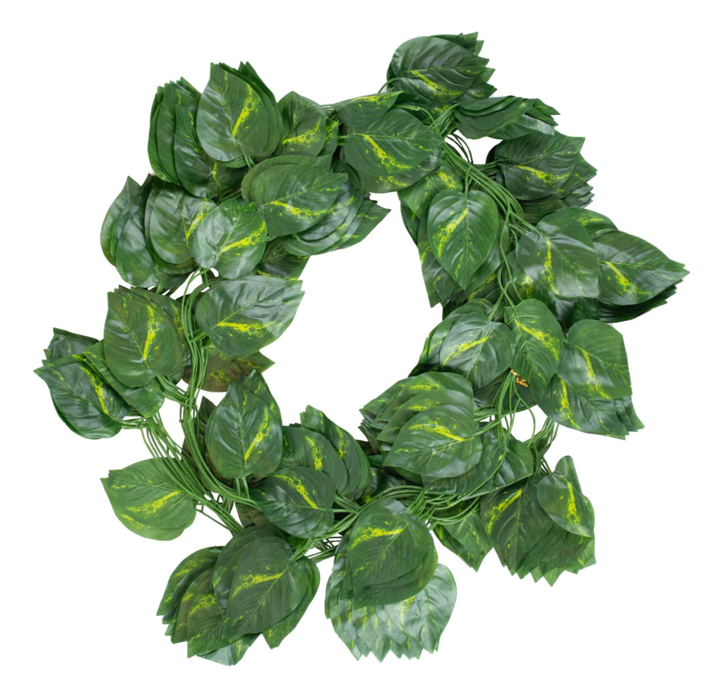 PROMOx12 - Tira De Enredadera (2.2mts)