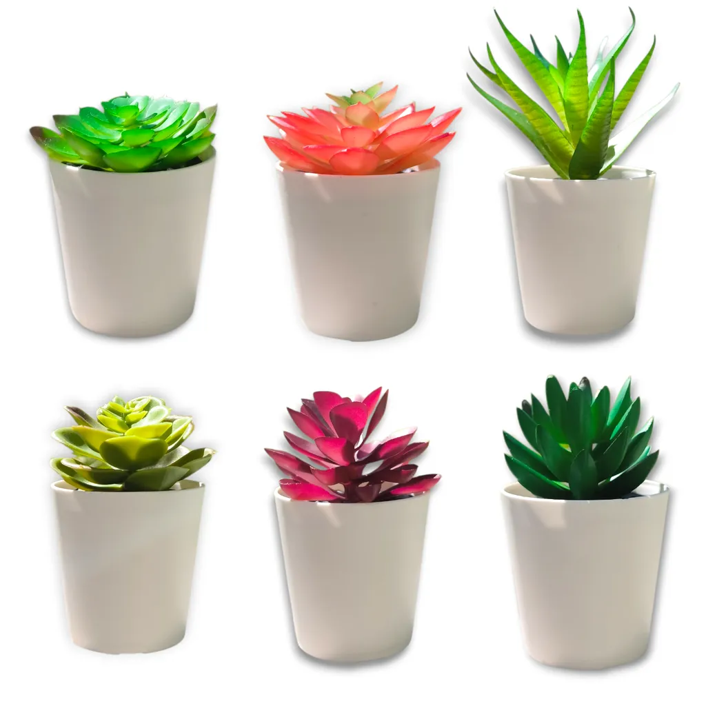 Macetita de Suculentas Surtidas (9x5)