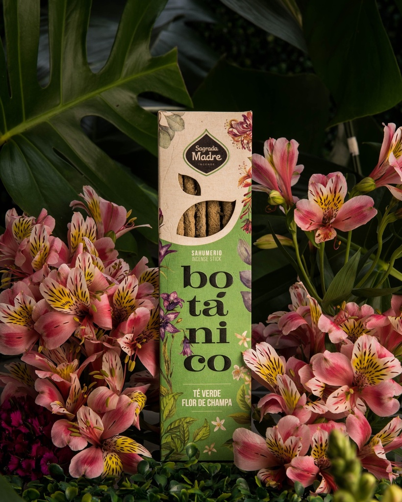 Sahumerio Botánico S.M. - Te verde & Flor de Champa