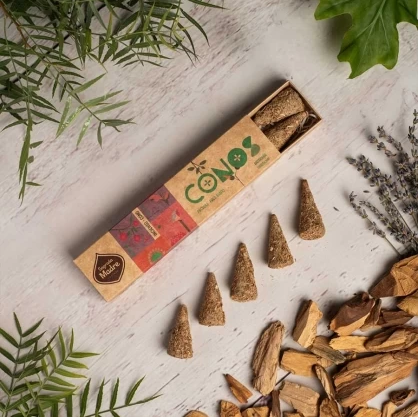 Sahumerios S.M. en Conos - Patchouli & Palo Santo (8u)