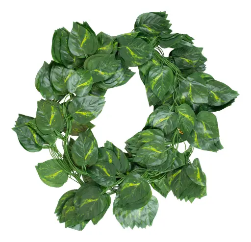 [ONC-126] PROMOx12 - Tira De Enredadera (2.2mts)