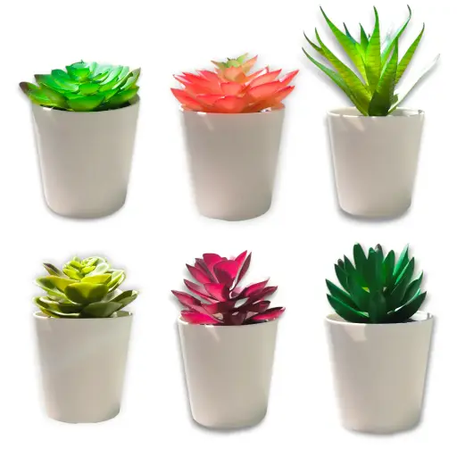 Macetita de Suculentas Surtidas (9x5)
