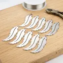 Pack x10 - Pluma de Acero Inox (10x3cm)   